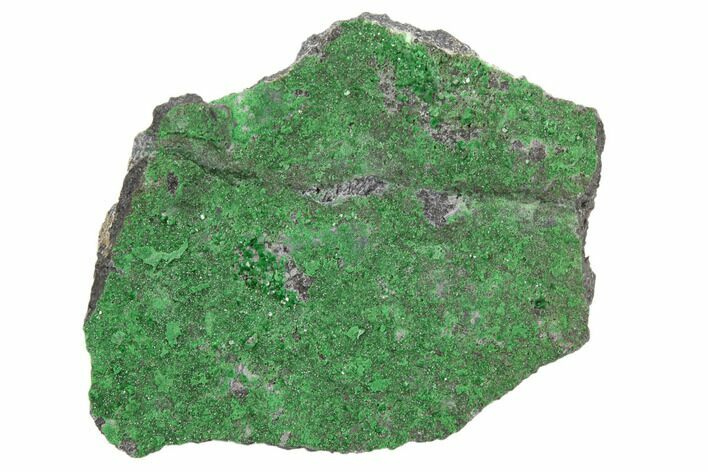 Green Uvarovite (Garnet Group) Cluster - Russia #195590